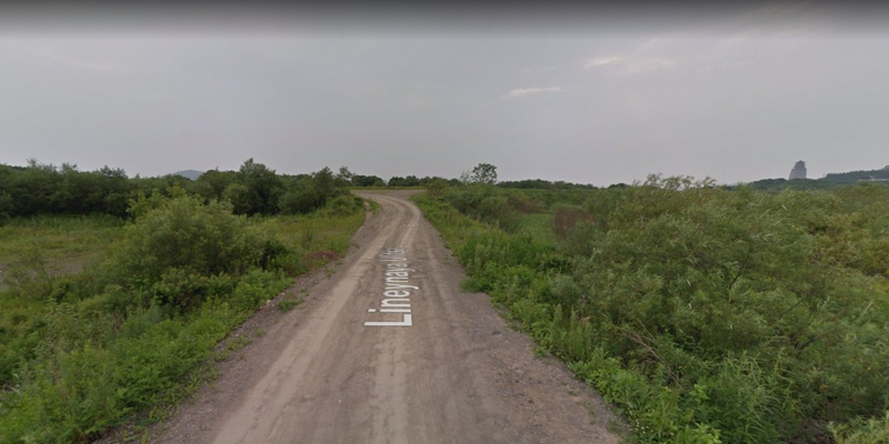 Linenaya Ulitsa. Google Maps